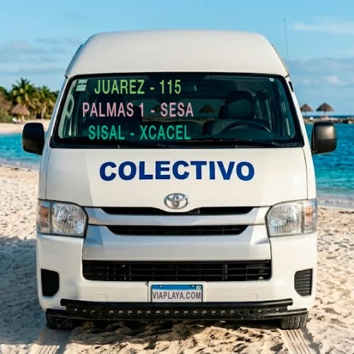 Foto de la ruta Juárez 115 Palmas 1 SESA Sisal Xcacel