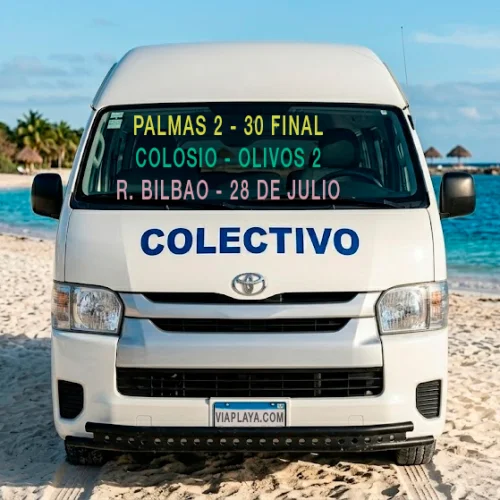 Foto de la ruta Palmas 2 30 Final Colosio Olivos 2 R. Bilbao 28 de Julio